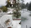 Granizo cubrió de blanco varias calles de Bogotá y dejó impresionantes imágenes. Foto: tomada de redes sociales