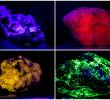 Muestras de minerales fluorescentes del Museo de Geociencias, abierto al público de forma gratuita. FOTOS Julio César Herrera