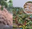 Las lluvias dejaron cultivos de banano afectados en la Zona Bananera y provocaron inundaciones en Santa Marta, mientras el aumento del caudal del río Manzanares arrastró residuos hacia la bahía. Foto: captura de video redes sociales @Zunigacotes @honohenriquez @guillerodph