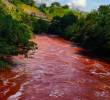 ¿El río Medellín se tiñó de rojo? Hay videos, pero las autoridades no encontraron nada