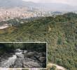 Imagen de referencia de la biodiversidad de la ciudad de Medellín. FOTO: Cortesía.