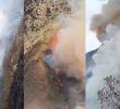 Bomberos llevan 10 días combatiendo incendio forestal en Buga pero los focos vuelven a encenderse. Foto: Captura de video X @JUANCAELBROKY