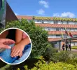 El ente de control también presionó a la Fiscalía para acelerar el juicio contra el agresor, un hombre que se aprovechó de la condición de desplazamiento de la familia. FOTO: Icbf y Colprensa
