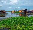 El pintoresco pueblo de palafitos de Nueva Venecia se enfrenta a una amenaza silenciosa que crece sin control. La Hydrilla verticillata, una planta invasora originaria de Asia, ha invadido las aguas de la Ciénaga Grande de Santa Marta, poniendo en riesgo el sustento de sus pescadores y el futuro de una comunidad que, por primera vez en años, vuelve a sentir la amenaza de ser desplazada. Foto: AFP