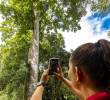 El árbol de caracolí es el que le da nombre a este municipio del Magdalena Medio. Foto: Andrés Camilo Suárez Echeverry