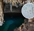 Seis de nueve lagos recreativos examinados dieron positivo a la mortal ameba <i>Naegleria fowleri</i>. El gobierno pide calma mientras investiga a las empresas responsables del mantenimiento del agua. FOTO: AFP y Getty