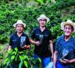 En la finca de Comunidad, practican la agricultura regenerativa y siembran variedades de café como la Catuaí, la Geisha o el Borbón Rosado. FOTO JULIO CÉSAR HERRERA