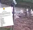 11 menores fueron identificados entre las víctimas tras combates entre disidencias de las FARC. Foto: Medicina Legal / captura de video