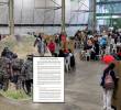 La Unión Interparlamentaria y el el Grupo de América Latina y el Caribe (Grulac) alertaron sobre el panorama de violencia para estas elecciones presidenciales. Fotos: Andrés Suárez, Colprensa y captura carta de la UIP y Grulac