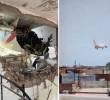 Un avión se estrelló cuando despegó del aeropuerto internacional Sardar Vallabhbhai Patel en Ahmedabad, India. FOTOS: Tomadas de redes