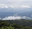 Vista panorámica de una finca cafetera en Fredonia, municipio en el que la Appa ya abarca el 44% de su extensión territorial. FOTO: Carlos Velásquez. Archivo El Colombiano