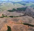 La deforestación continúa afectando áreas protegidas de la Amazonía colombiana. Greenpeace identificó 8.896 hectáreas de bosque perdidas durante 2025 en los parques nacionales Sierra de La Macarena, Serranía de Chiribiquete y Tinigua. FOTO: Gentileza FCDS.