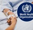 Informe OMS: desigualdad, COVID-19 y malaria frenan el progreso sanitario. Foto: OMS / Magnific