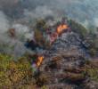 La UNGRD reportó esta semana que van más de 119.000 hectáreas en el país consumidas por las llamas. FOTO: Cortolima.