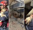 Los videos de los rescates fueron compartidos en redes sociales. FOTO: CAPTURA DE PANTALLA.