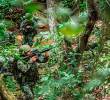Los sitios más críticos del conflicto armado en Colombia son Cauca, Antioquia, Valle, Norte de Santander y Chocó. FOTO: CORTESÍA DEL EJÉRCITO.