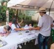 Más de 560.000 familias cafeteras podrán elegir a sus representantes mediante voto electrónico o presencial durante las elecciones gremiales de 2026. FOTO