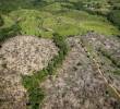 El Parque del Paramillo es la décima área protegida más grande del país. FOTO: CORTESÍA