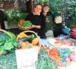 Restaurantes Sabores Bio Medellín: Casa M, La casa del alimento, Ocio, Sancho Paisa, Buen Humo, Bistró, EcoAstilleros, Wholly, Los Sabores Perdidos y Ama. FOTO<b> </b>Esneyder Gutiérrez.
