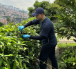 Tomaron muestras de las bacterias en hojas de tres árboles de Medellín y hallaron bacterias que podrían ayudar limpiar el aire. Foto: cortesía.