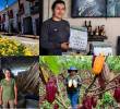 Las familias que el conflicto armado desplazó regresaron a sus tierras y hoy lideran los cultivos en alta calidad de café y cacao en el Oriente antioqueño. Foto: Julio César Herrera
