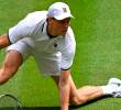 Sinner es el actual campeón de Wimbledon. FOTO: <b>Instagram Janniksin</b>