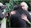 La etóloga y primatóloga inglesa falleció este miércoles a los 91 años de edad, siendo considerada una importante científica en el mundo de los animales. FOTO: Captura video Instituto Jane Goodall