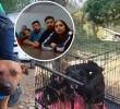 Los sentenciados son un veterinario, el organizador del evento y 11 participantes extranjeros. Foto: Fiscalía
