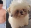 A la izquierda Mora, el presunto responsable. A la derecha Princesa, la perrita que murió tras ser lanzada. FOTOS: REDES SOCIALES.