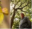 La nueva especie pertenece al género Lepanthes, uno de los grupos de orquídeas más diversos de los Andes tropicales, que reúne algunas de las flores más pequeñas del mundo. FOTOS CORTESÍA y Unal sede Medellín.