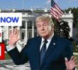 Donald Trump mantiene una relación tensa con varios medios de comunicación de Estados Unidos, en medio de disputas por la cobertura de su Gobierno. FOTO: Getty, MS NOW, POLITICO, CNN.
