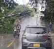 Así quedó uno de los postes de la zona de Guayabal tras la caída de varios árboles sobre él. FOTO: Cortesía Denuncias Antioquia