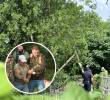 El hombre guatemalteco pasó ocho horas en un árbol mientras vecinos le gritaban que no firmara nada. Fotos: Redes sociales y captura de video