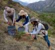La inversión ambiental de las empresas colombianas alcanzó cerca de $10 billones en 2025 y superó por primera vez a la inversión social, según el Índice de Inversión Social y Ambiental Empresarial (IISAE). FOTO EL COLOMBIANO