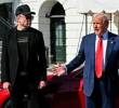 Elon Musk fue el mayor donante de la campaña de Donald Trump que lo regresó a la Casa Blanca en las elecciones de noviembre de 2024. FOTO: AFP vía Getty