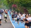 La renovación de la pista de 1,6 kilómetros hace parte de la fase 3 del megaproyecto Gran Parque Medellín, que registra un avance cercano al 80 % y cuenta con una inversión de más de $20.000 millones. Foto: Cortesía