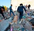 La interrupción de actividades y la destrucción de capital serían los principales costos económicos del terremoto durante 2026. FOTO Manuel Saldarriaga
