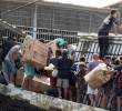 Videos muestran saqueos en La Guaira tras los terremotos en Venezuela, se llevaron alimentos, medicinas y electrodomésticos. FOTO: Tomada de @freddyzur.