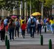 El estudio está realizado con datos recogidos en 20.445 encuestas en 32 ciudades. Se revelan “cómo viven, sienten y evalúan su calidad de vida más de 16 millones de colombianos”. Foto: Manuel Saldarriaga