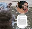 Esta fue la carta que envió el multimillonario Anant Ambani al Gobierno de Colombia para que frenen la eutanasia a 80 hipopótamos en el Magdalena Medio. FOTOS: ESNEYDER GUTIÉRREZ - AFP