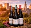 Tres vinos del <i>Châteauneuf-du-Pape </i>(El Castillo nuevo del Papa) para disfrutar en Semana Santa. FOTOS Cortesía.