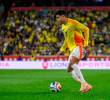 Luis Díaz es uno de los referentes de la Selección Colombia que disputará su primer Mundial con la Tricolor. FOTO CORTESÍA FCF
