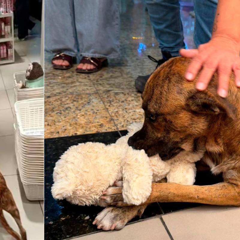 /FOTOS: REDES SOCIALES