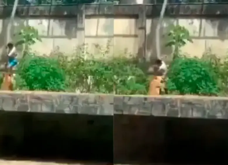 Joven falleció tras invadir la jaula de una leona en Brasil