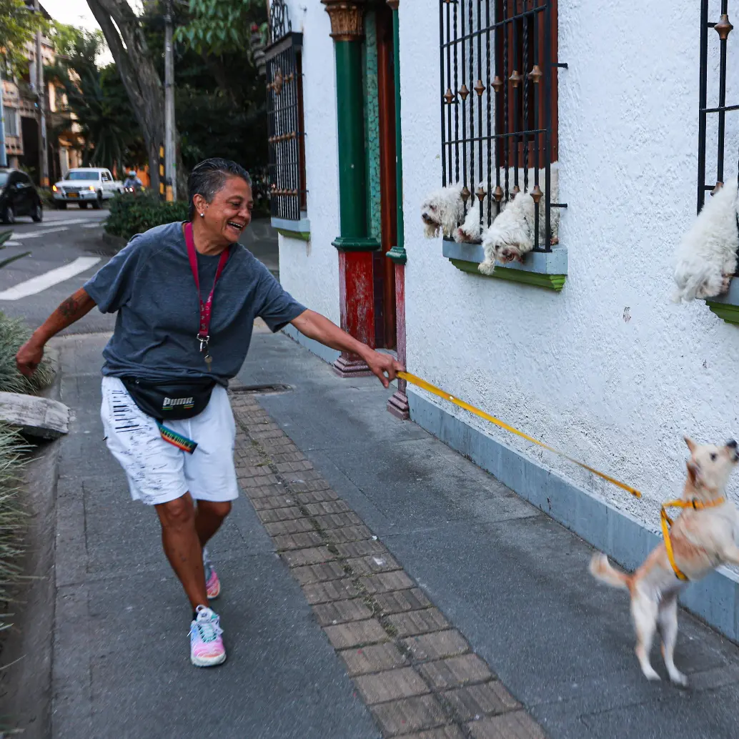 Este 21 de julio se celebra el Día Internacional del Perro. FOTO Manuel Saldarriaga