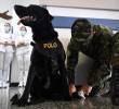 Polo, uno de los perros que ayuda en el Hospital Militar Central. FOTO: AFP