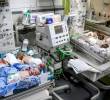 Bebés prematuros y enfermos en Gaza enfrentan la falta de incubadoras, oxígeno, medicamentos y espacio en los hospitales, en medio de la crisis del sistema sanitario por la guerra. Foto: AFP