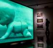 Habrá actividades especiales alrededor de la exposición. Para más información visite las redes del Museo de Antioquia. FOTO: Julio César Herrera.