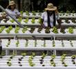 Entre los hallazgos también está que la brecha de género laboral se está cerrando y que la población en edad para trabajar caerá hasta 8% en los miembros del grupo para 2060. Foto: Julio César Herrera Echeverri.