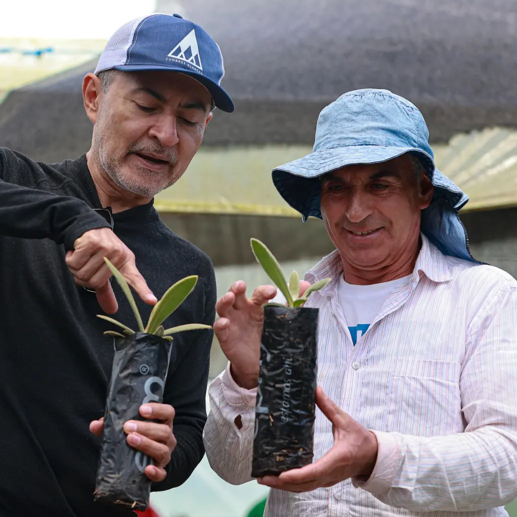 Robinson Salazar y don Ernesto Pérez han trabajado en llave para que la propagación de frailejones en el municipio de Belmira sea referente en el país. <b><span class="mln_uppercase_mln"> </span></b>FOTO<b><span class="mln_uppercase_mln"> Manuel Saldarriaga</span></b>